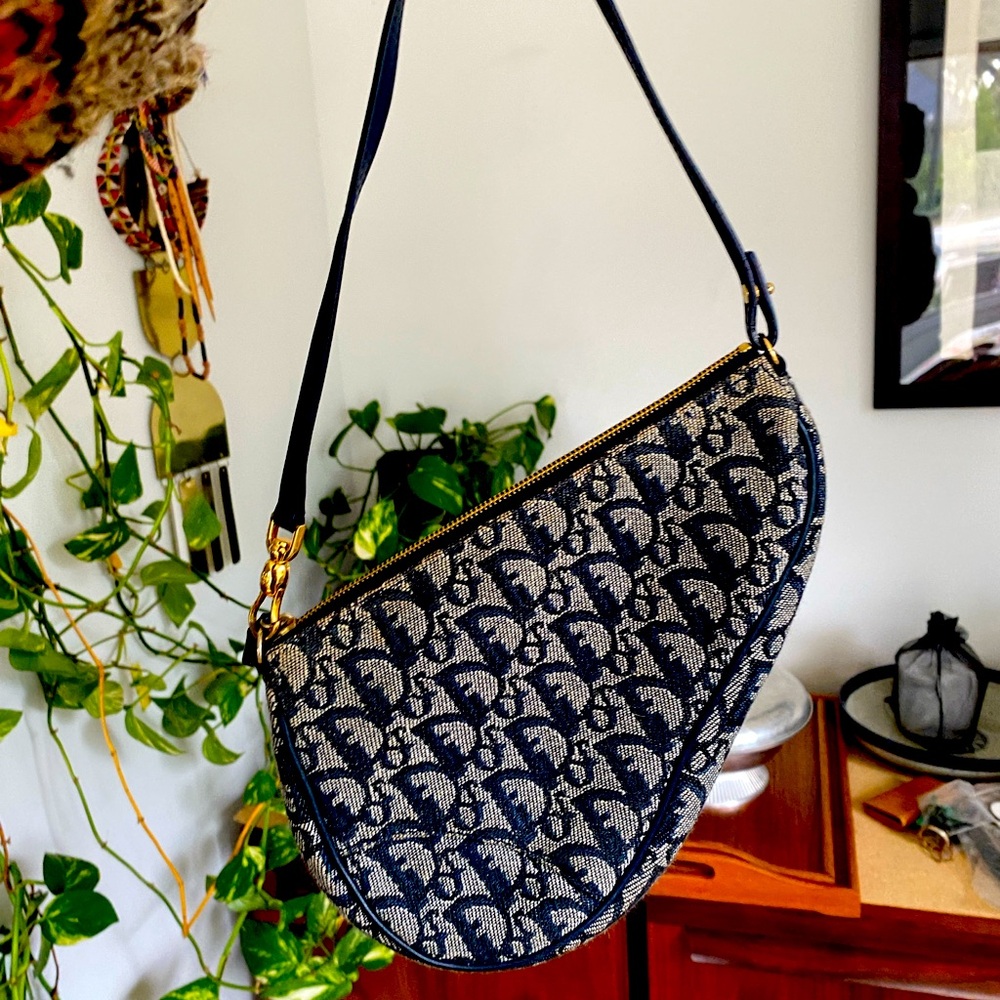 Dior saddle bag trotter canvas